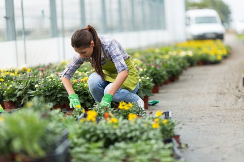 Accessible Landscaping Blackheath content on a user-friendly webpage