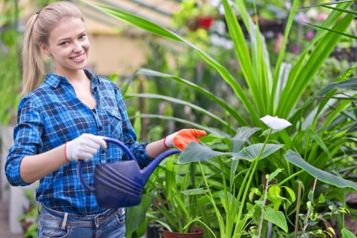 Illustration representing essential website cookies for Landscaping Blackheath