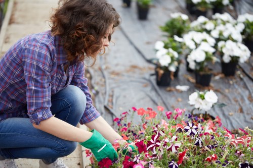 Professional decking installation planned for a Blackheath garden