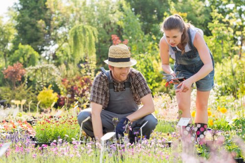 Garden design and build project planning for a Blackheath home