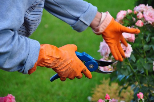 Professional landscaping team managing a safe Blackheath project