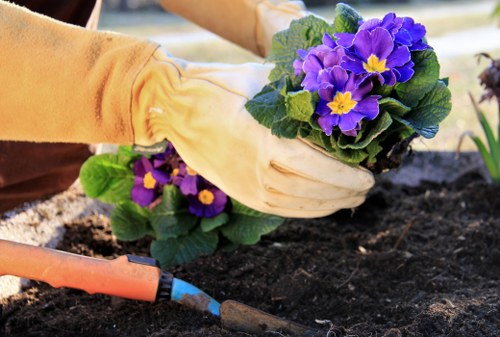 Choosing paving materials for hard landscaping in Blackheath homes