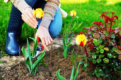 Neat new lawn installation for a Blackheath home or business