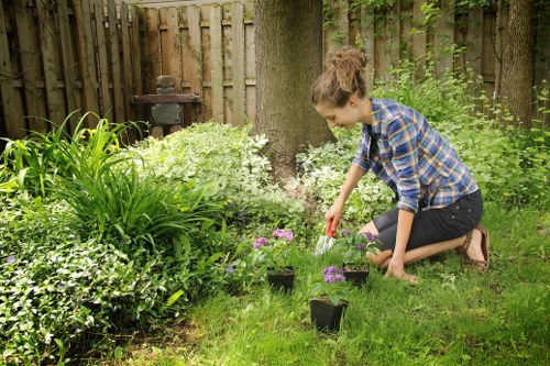 Accessibility request section for Blackheath landscaping content