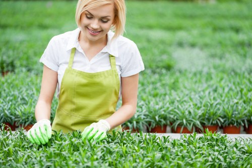 Reusable landscaping materials prepared for charity donation